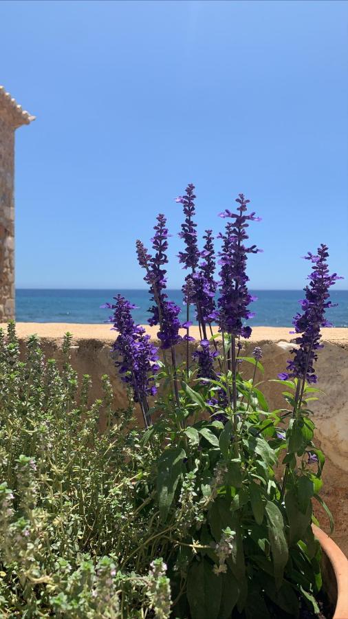 Selinitsa Residence Mani Agios Nikolaos  Ngoại thất bức ảnh